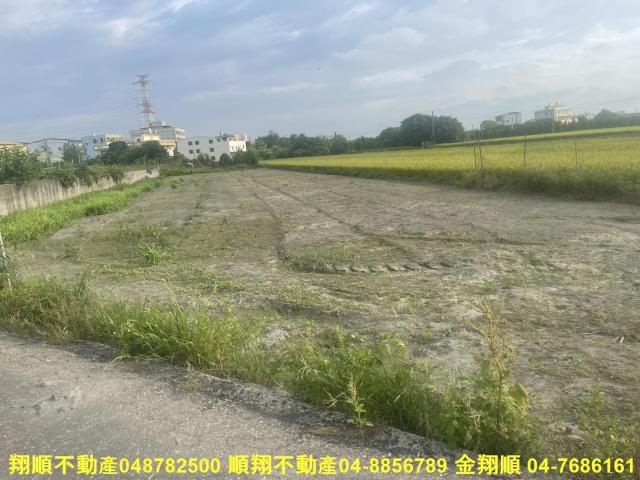 埤頭農地-1