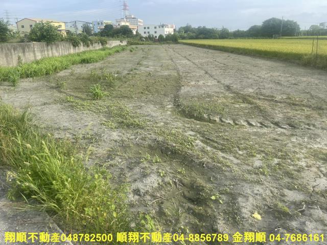 埤頭農地-3