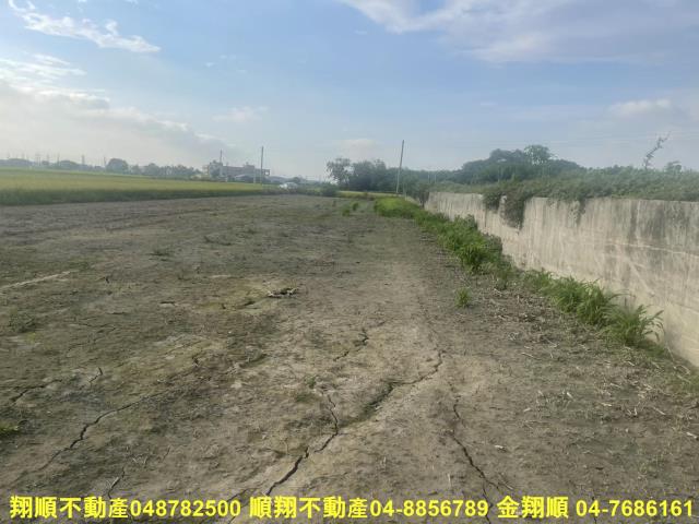 埤頭農地-5