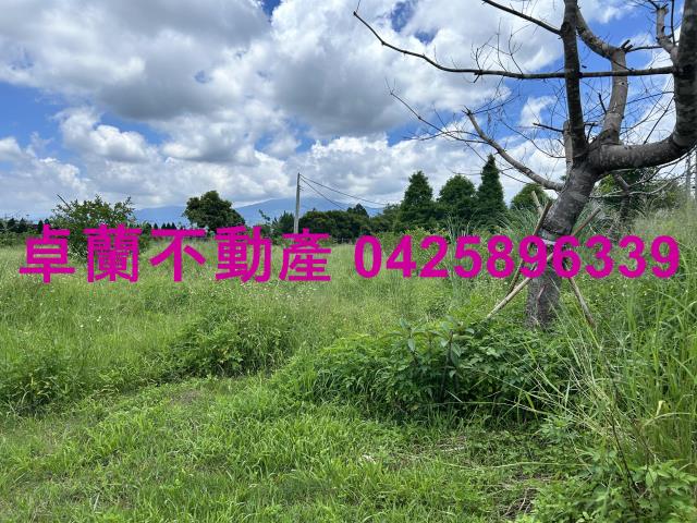 苗栗卓蘭農地-5