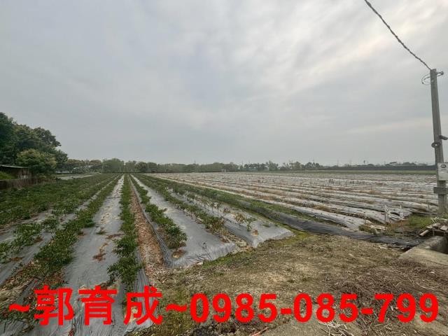 白河農地-3