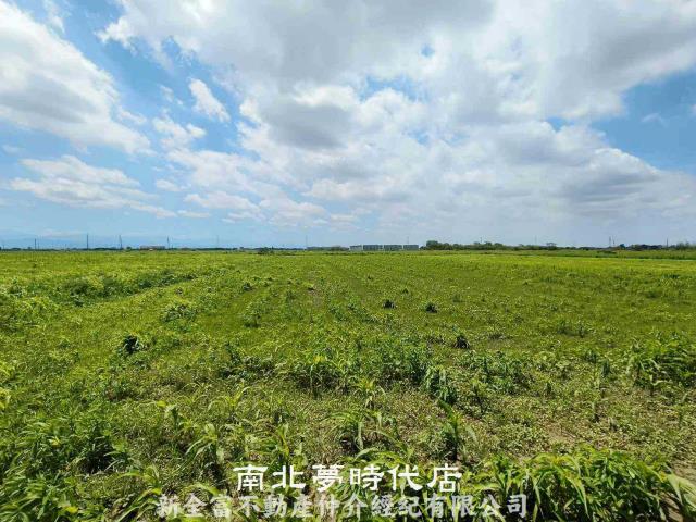 鹽水農地-5