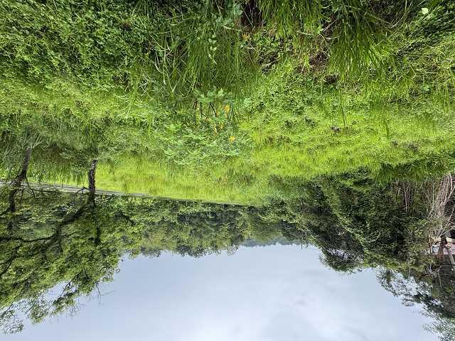 六龜農地-6