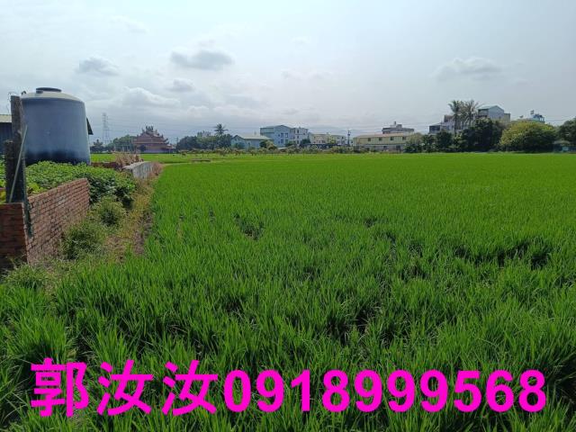 白河農地-10