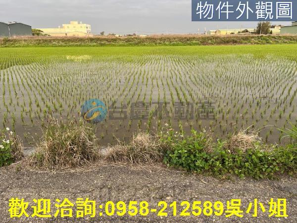 新竹農地-5