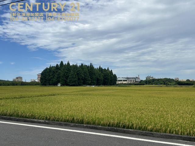 員林農地-2