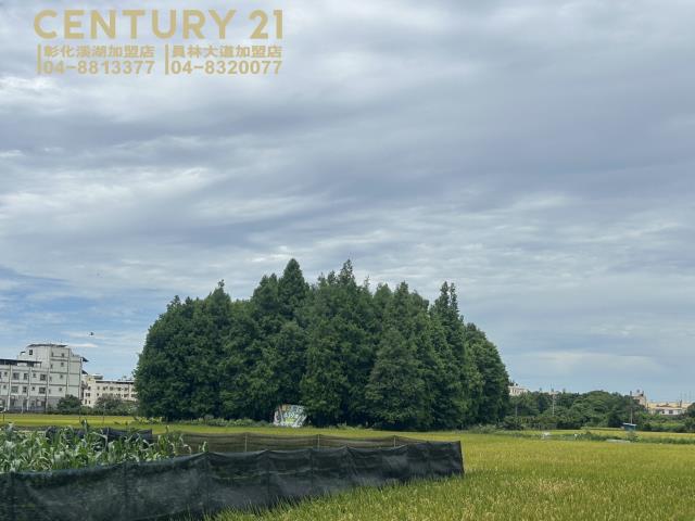 員林農地-1