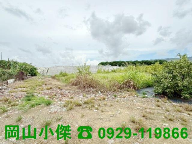 阿蓮農地-1