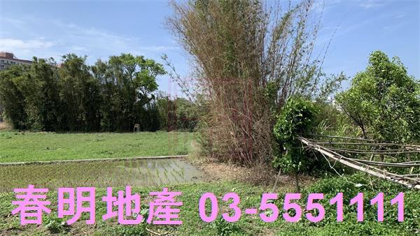 竹東工業地-3