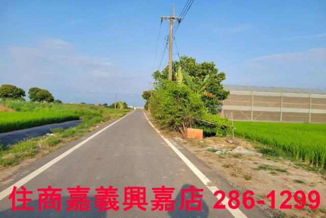 水上農地-4