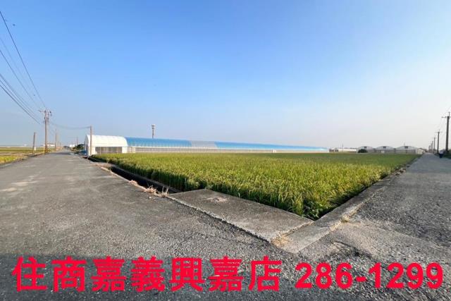 太保農地-1