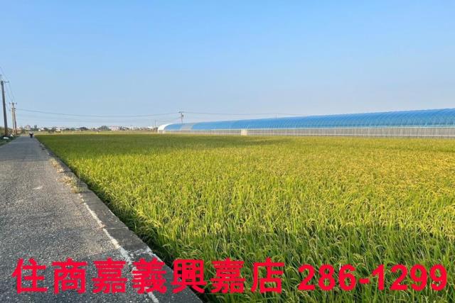 太保農地-3