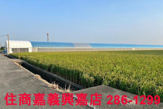 太保農地-4