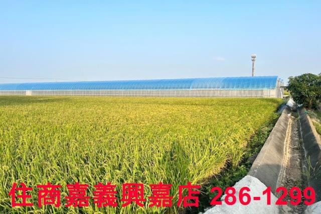 太保農地-5