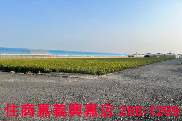 太保農地-7
