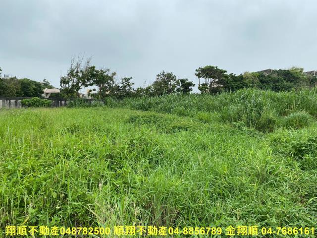 彰化建地-11