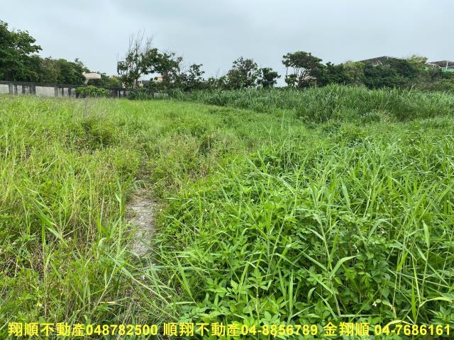 彰化建地-6