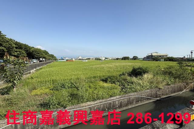 嘉義農地-7