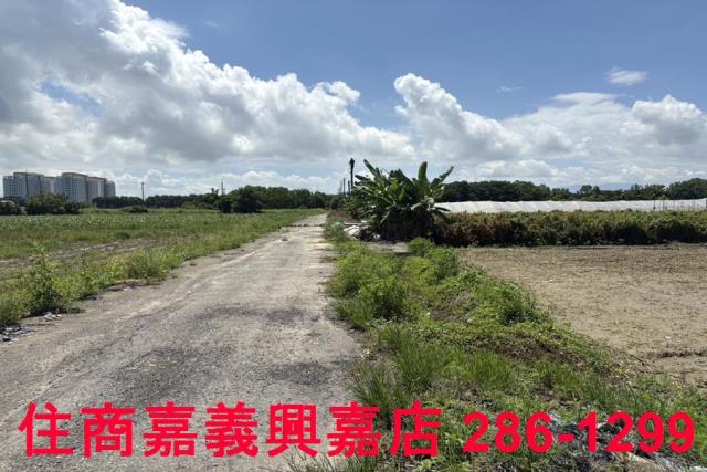 嘉義農地-8