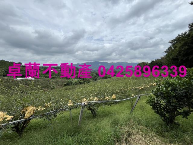 苗栗農地-1