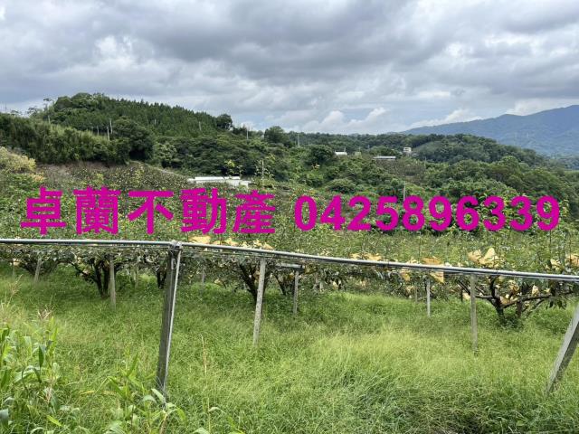 苗栗農地-3