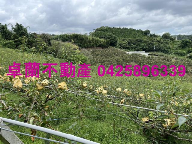 苗栗農地-7