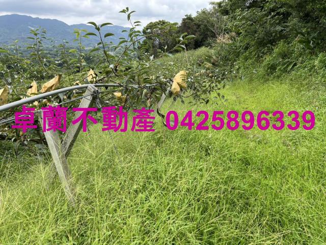 苗栗農地-8