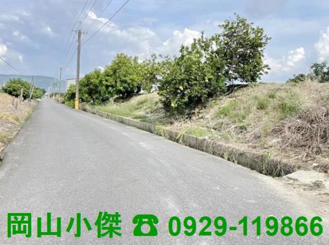 高雄阿蓮農地-1