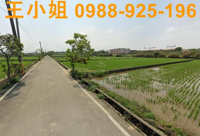 桃園新屋農地-12