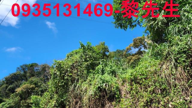 新竹芎林林地-8