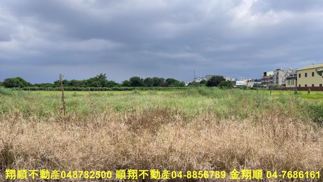 彰化溪湖農地-1