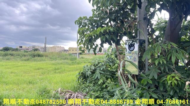 彰化溪湖農地-9