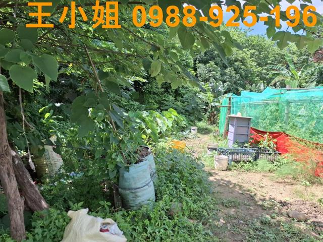 中壢農地-3