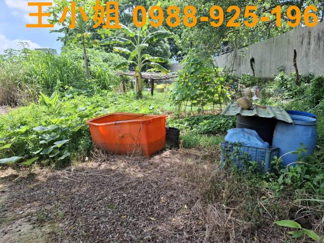 中壢農地-5