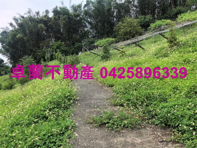 苗栗農地-10