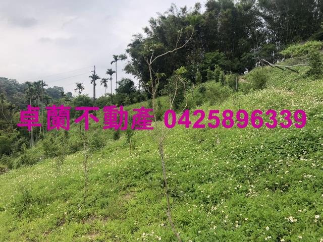 苗栗農地-12