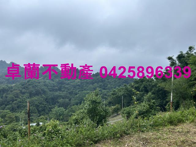 苗栗農地-4