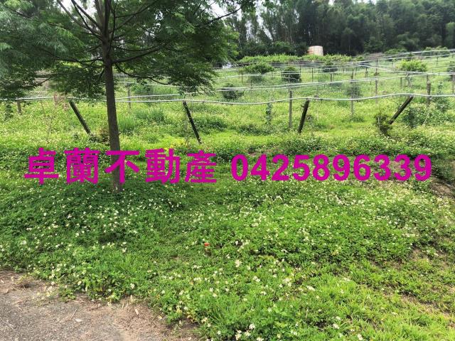 苗栗農地-8