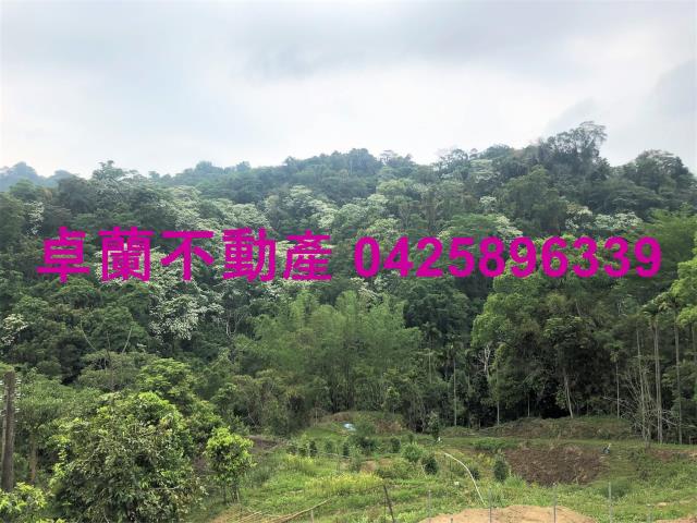 苗栗農地-9