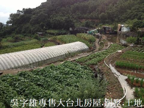 北投農地-7