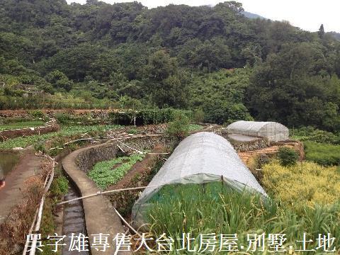 北投農地-4