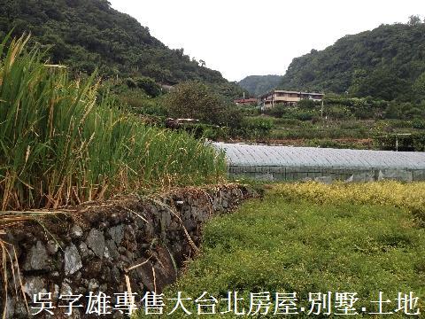 北投農地-9