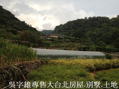 北投農地-10