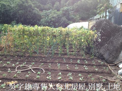 北投農地-8