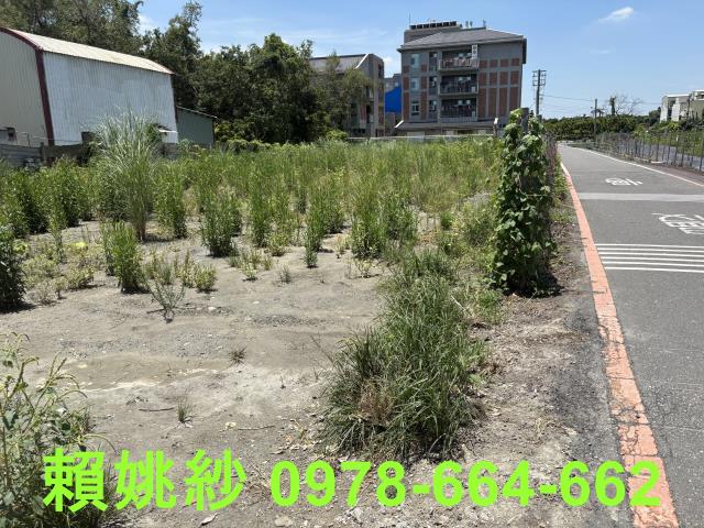 彰化永靖農地-1