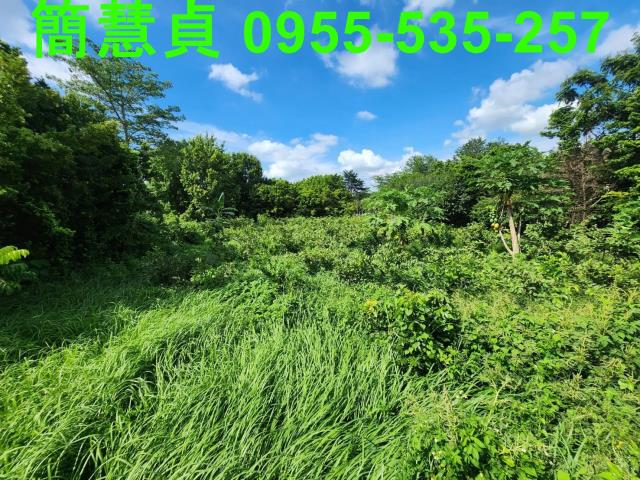 彰化田尾農地-4