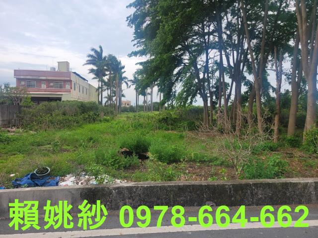 彰化永靖農地-1