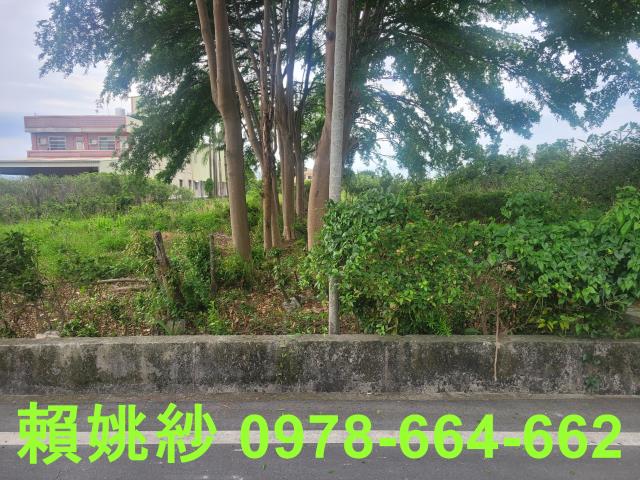 彰化永靖農地-3
