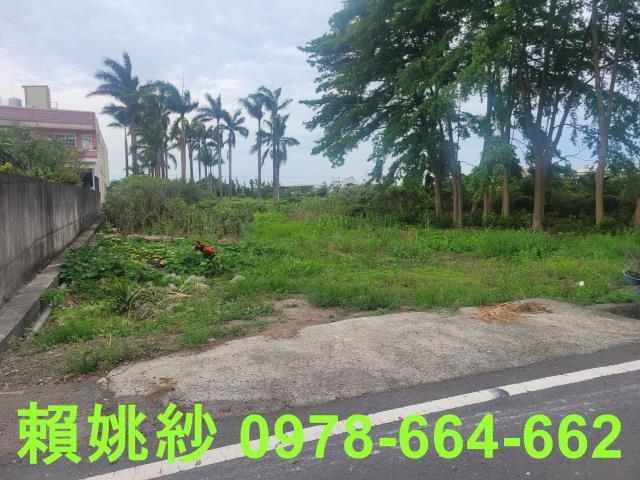 彰化永靖農地-4