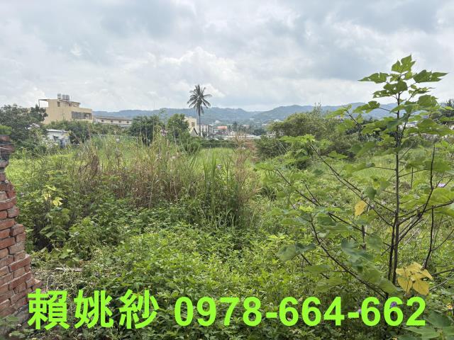 員林農地-2